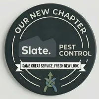 Slate Custom Blog Icon
