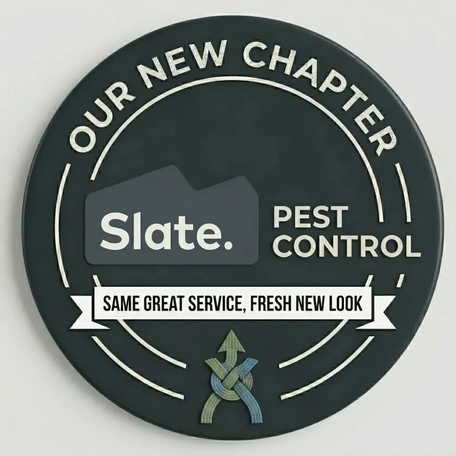 Slate Custom Blog Icon