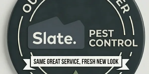 Slate Custom Blog Icon